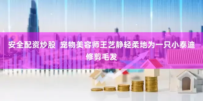 安全配资炒股  宠物美容师王艺静轻柔地为一只小泰迪修剪毛发