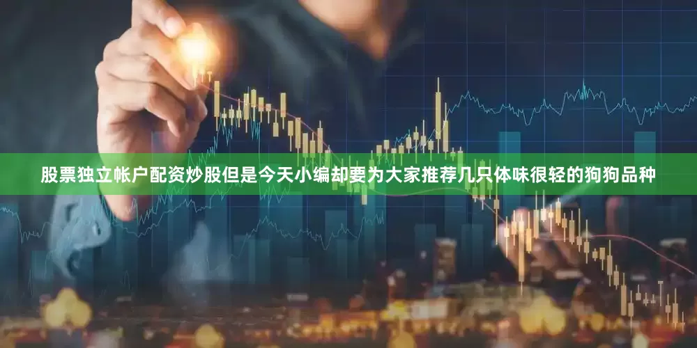 股票独立帐户配资炒股但是今天小编却要为大家推荐几只体味很轻的狗狗品种