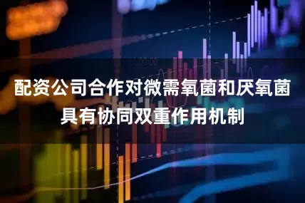 配资公司合作对微需氧菌和厌氧菌具有协同双重作用机制