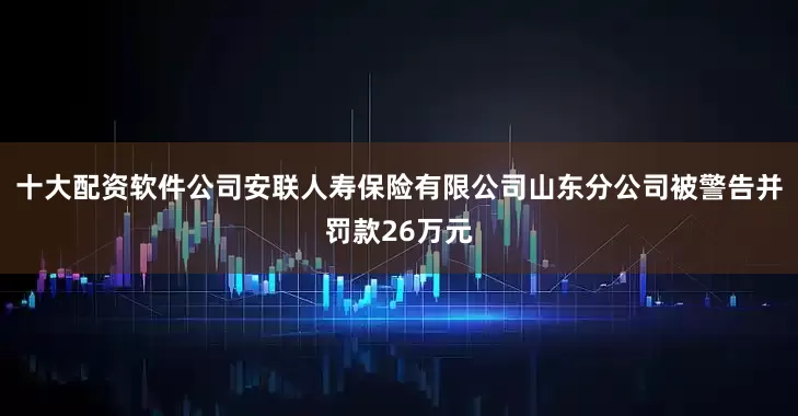 十大配资软件公司安联人寿保险有限公司山东分公司被警告并罚款26万元