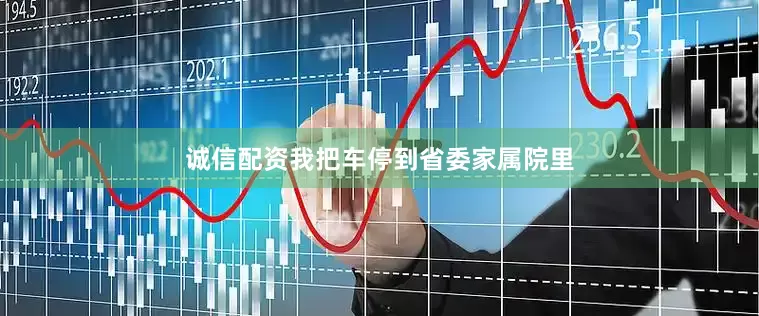 诚信配资我把车停到省委家属院里